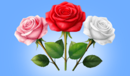 Sort your garden flowers