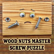 Wood Nuts Master: Screw Puzzle