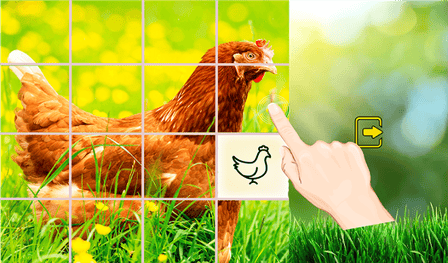 Summer Chickens: slide puzzle