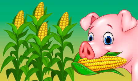 Feed the piglet 3D