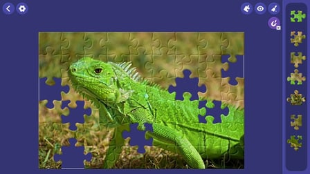 Jigsaw Puzzle World - Screenshot 5