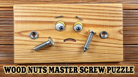 Wood Nuts Master: Screw Puzzle