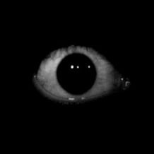 Tremble with Fear: PS1 Horror