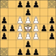 Tafl: viking chess