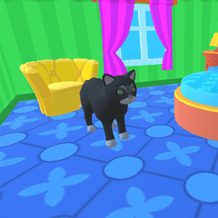 The Kitty Hotel