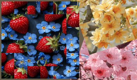 Puzzle: Bellissimi fiori