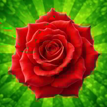 The Flowers Merge and Sell Bouquets