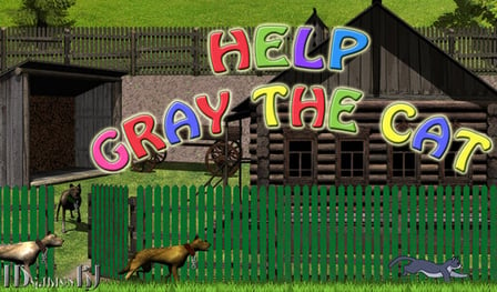 Help Gray the cat