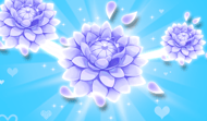 Connect Flowers Antistress Relax