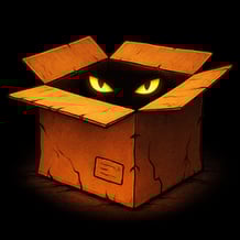 Don't open the box!