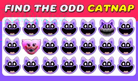 Find the odd Catnap