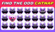 Find the odd Catnap