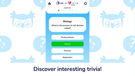 Quiz! PLS! - Screenshot 1