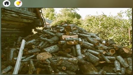 Can you find the cat? - Screenshot 2