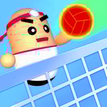 Volleyball 3D