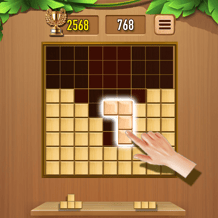Sudoku Block Puzzle