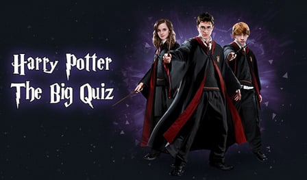 Harry Potter The Big Quiz
