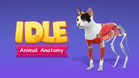 IDLE Animal Anatomy