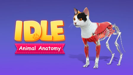 IDLE Animal Anatomy