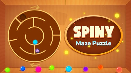 Spiny maze puzzle