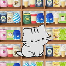 Shelves. Perfect order