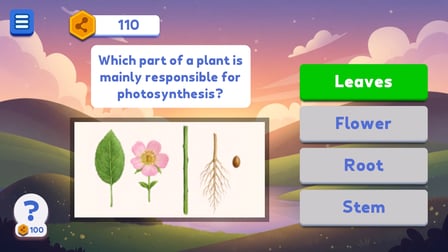 Word Search  Quiz - Screenshot 3