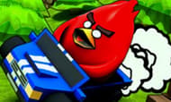 Poultry ACE Downhill