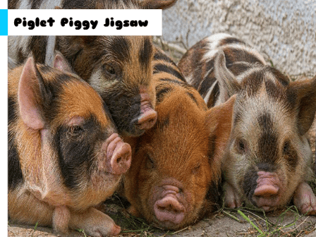 Piglet Piggy Jigsaw