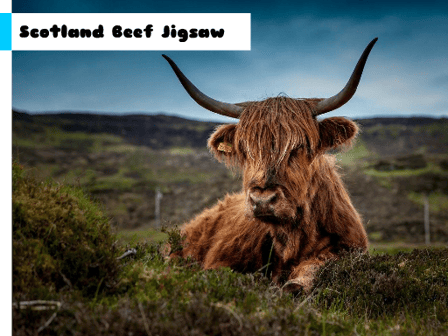 Scotland Beef Jigsaw