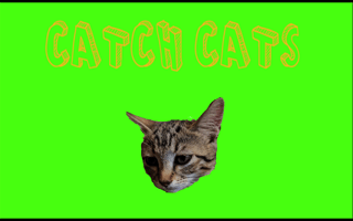 Catch Cats