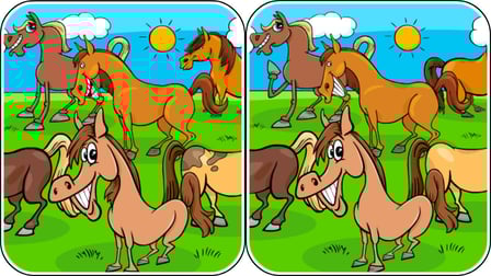 Animals Differences