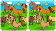 Animals Differences