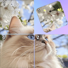 Cozy Puzzles: Build the Picture