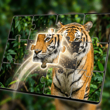 Solitaire Picture Puzzles