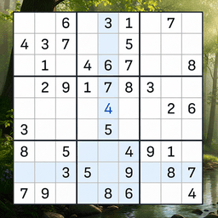Relaxing Sudoku - Take a Break from the Bustle