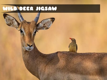 Wild Deer Jigsaw