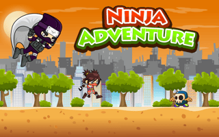 Ninja Adventure