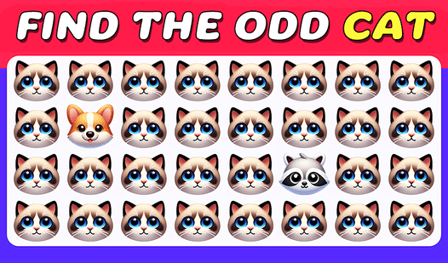Find the odd Cat