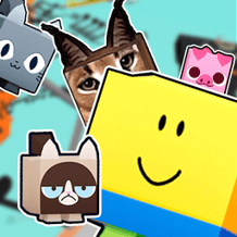 Encontre Os Pets