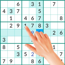 Sudoku untuk otak