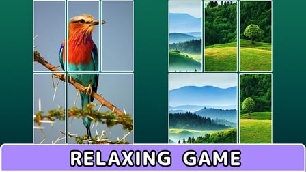 Pictures in Pieces - Screenshot 3