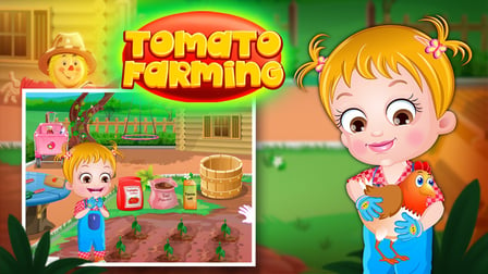 Baby Hazel Tomato Farming