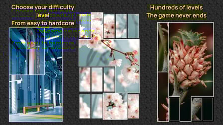 Assemble the Picture: Puzzle - Screenshot 2