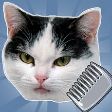 Comb it! While cat is not looking