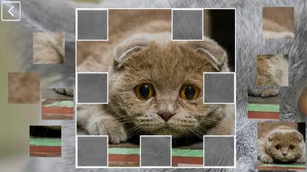 CatCollection: 48 Breeds - Screenshot 3