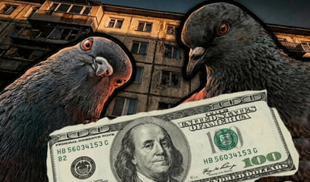 Survival for 100 dollars