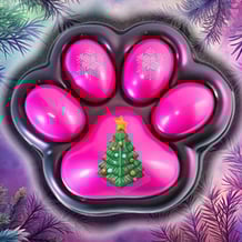 Taba Paws Squishy Unboxing