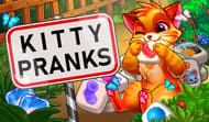 Kitty Pranks