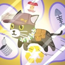 Hero cat