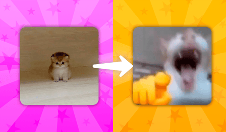 Merge Cat Memes: Evolution!